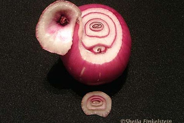 Gidra onion com